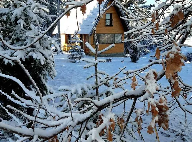 Kod Gruja Villa Ribnica  photo