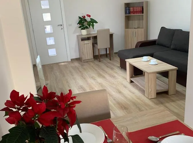 Apartman Zmaj Srbobran photo