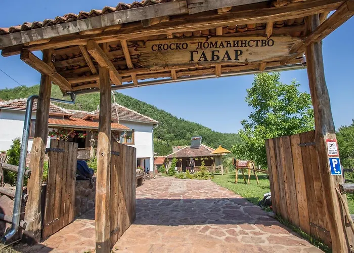 Seosko Domacinstvo „Gabar” Villa Custica photo