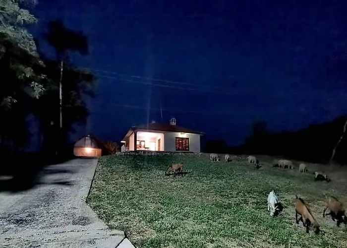 Sumadijska Panorama Villa Topola photo