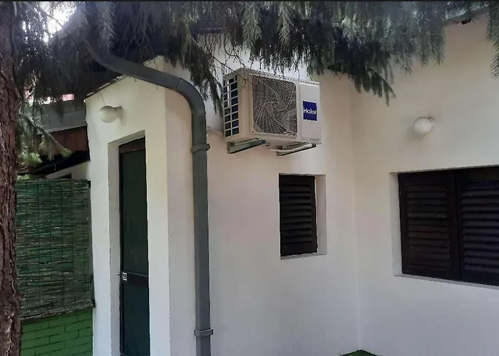 Sumska Kuca Atina - Devojacki Bunar Alibunar fotorgafie