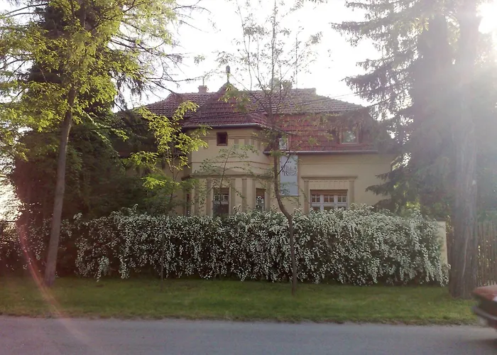 Villa Ricz Palic photo