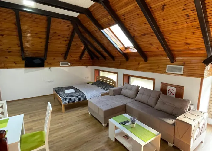 Achillius Apartmani Arilje photo