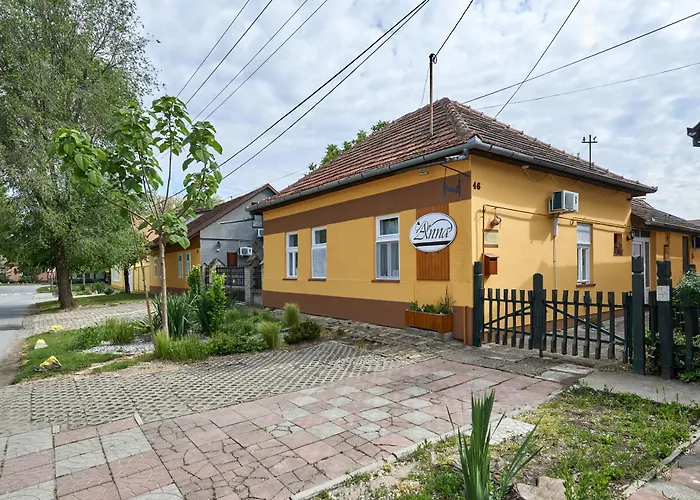 Ana Guesthouse Senta photo