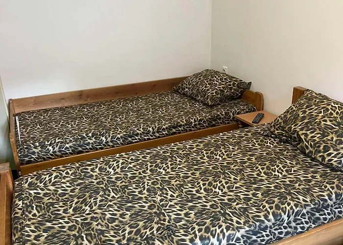Slobo Velickovic Hotel Prokuplje photo