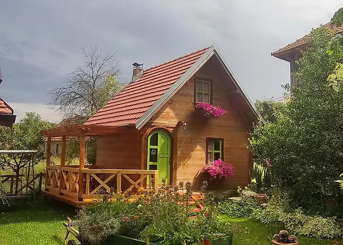 Apartments Vila Selena - Golija Rudno photo