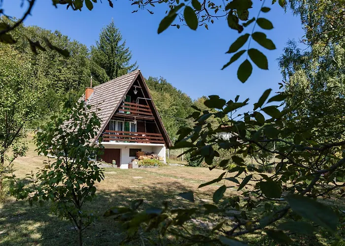 Planinska Vikendica Medurecje Villa Ivanjica photo