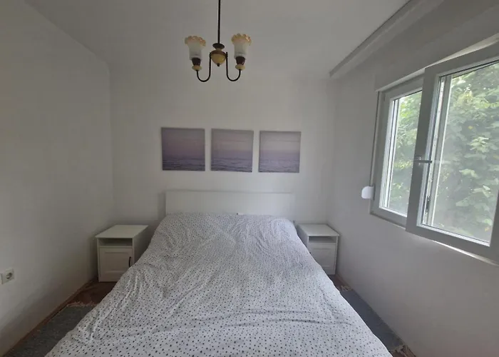 Apartman Mamut Donji Milanovac photo