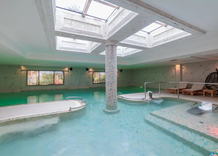 Hotel Tamis & Spa Pancevo photo