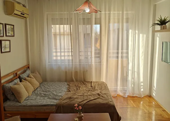 Apartman Nest Pozarevac photo