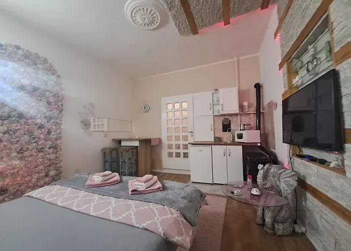 Stan Na Dan S Apartment Backa Palanka photo