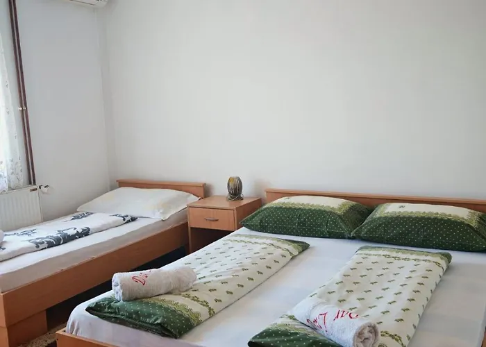 Vila Aleksandar - Dar Lux Bukorovac foto