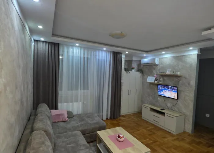 Apartman Ns Centar City Private Parking 노비사드 사진