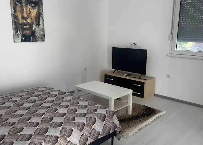 Elena Airport Apartments Surcin photo