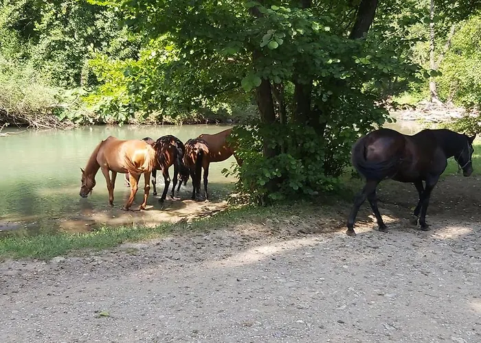 Apartmani Doksas Deguric Belic Foto
