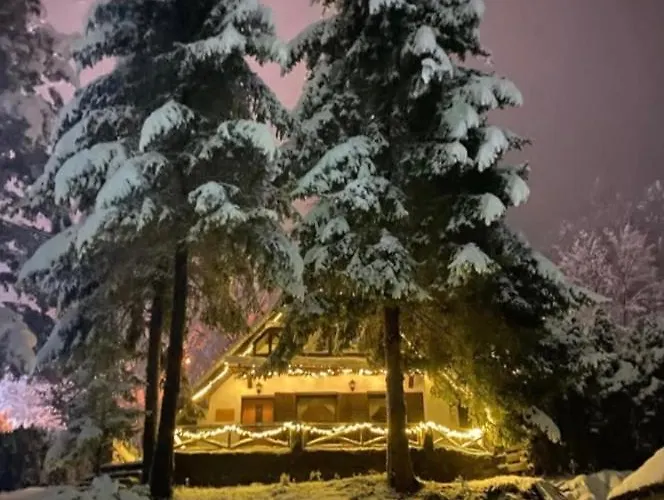 Vila Krnjevic Jastrebac Buci 사진