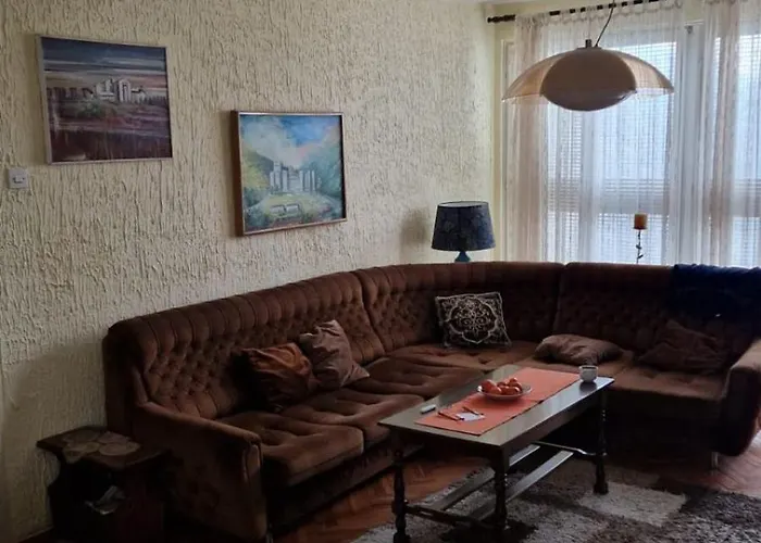 Apartman19 Resavica照片