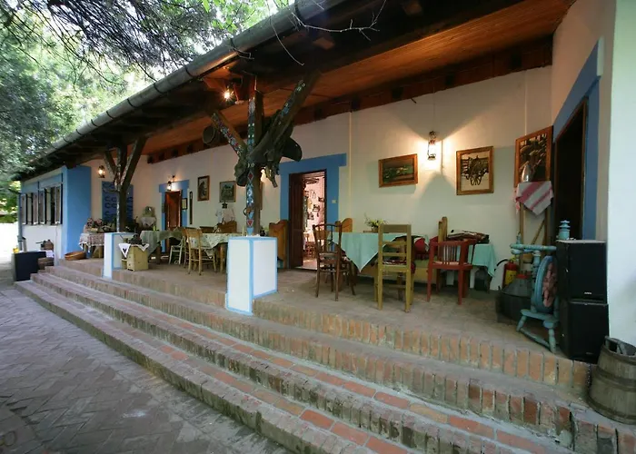 Salas 137 Hotel Cenej photo