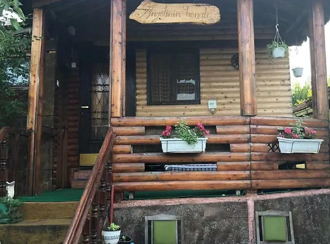 Angelinin Konak Negotin photo