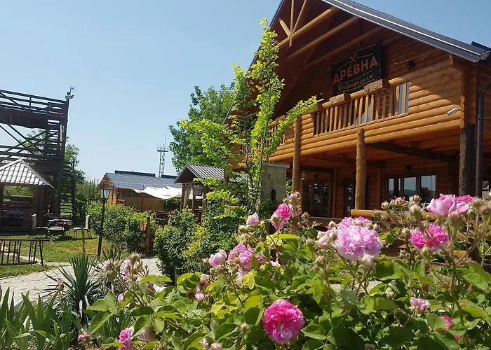 Bungalows Drevna Sremska Kamenica photo